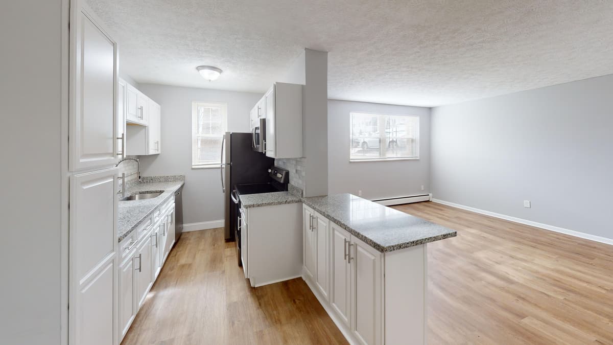 undefined apartments for rent - image - Bright Open Kitchen and Living Area