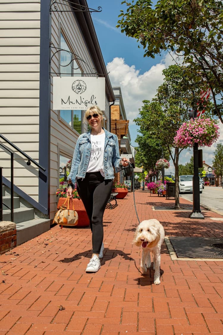 undefined apartments for rent - image - Mr. Nigels Pet Grooming