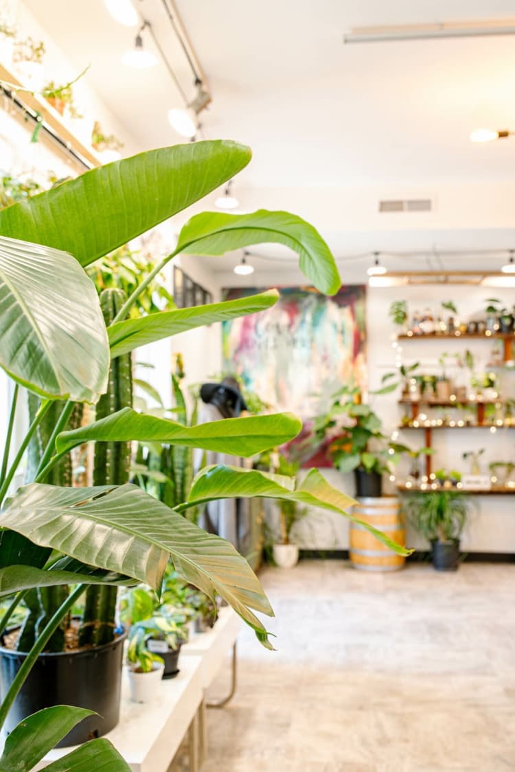 undefined apartments for rent - image - Vora + Vine