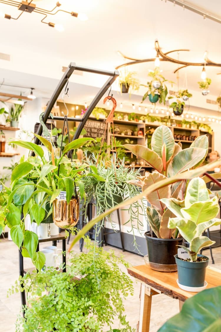 undefined apartments for rent - image - Vora + Vine