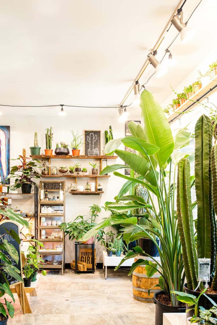 undefined apartments for rent - image - Vora + Vine