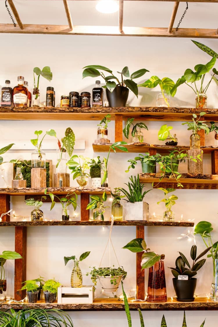 undefined apartments for rent - image - Vora + Vine