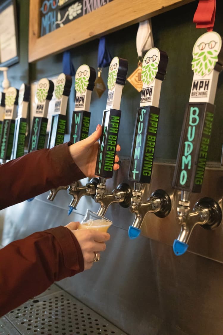 undefined apartments for rent - image - MPH Brewing