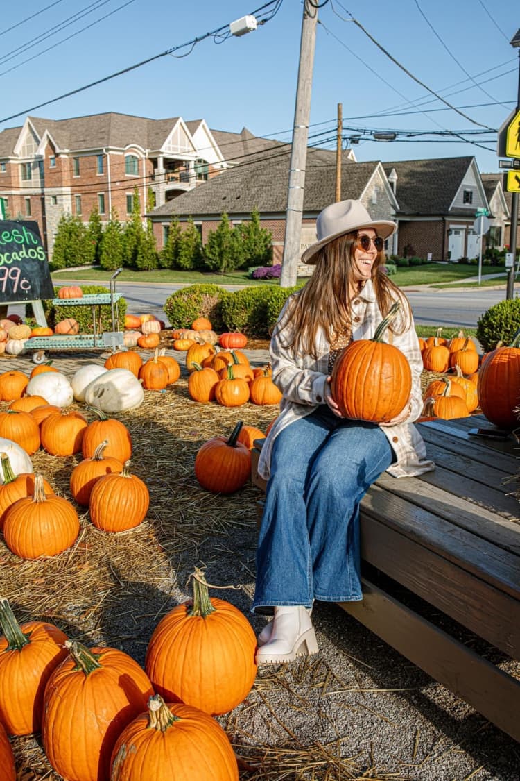 undefined apartments for rent - image - Pipkins Market