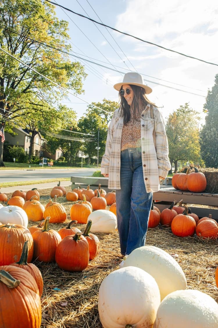 undefined apartments for rent - image - Pipkins Market