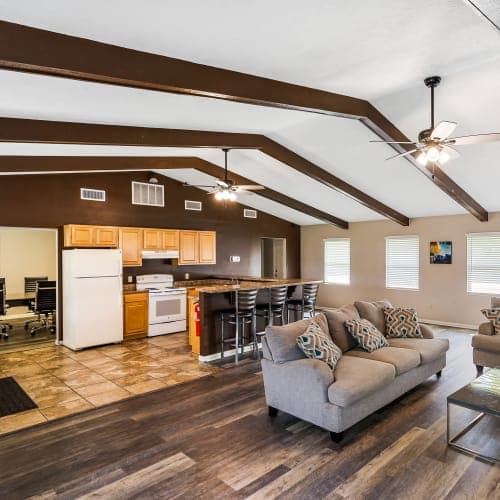 undefined apartments for rent - image - DSC09360_a2oxf7.jpg.jpeg
